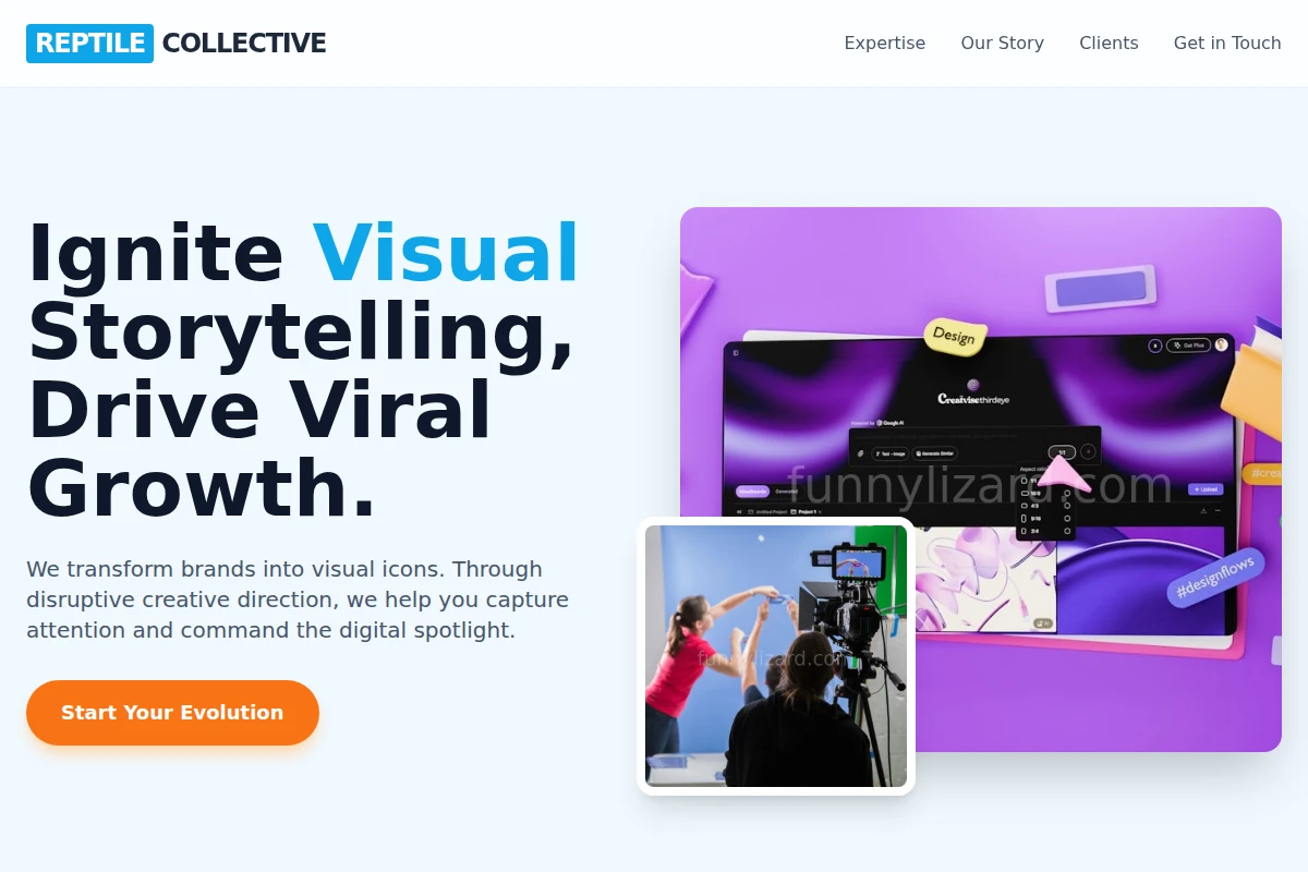 Reptile Creative Direction