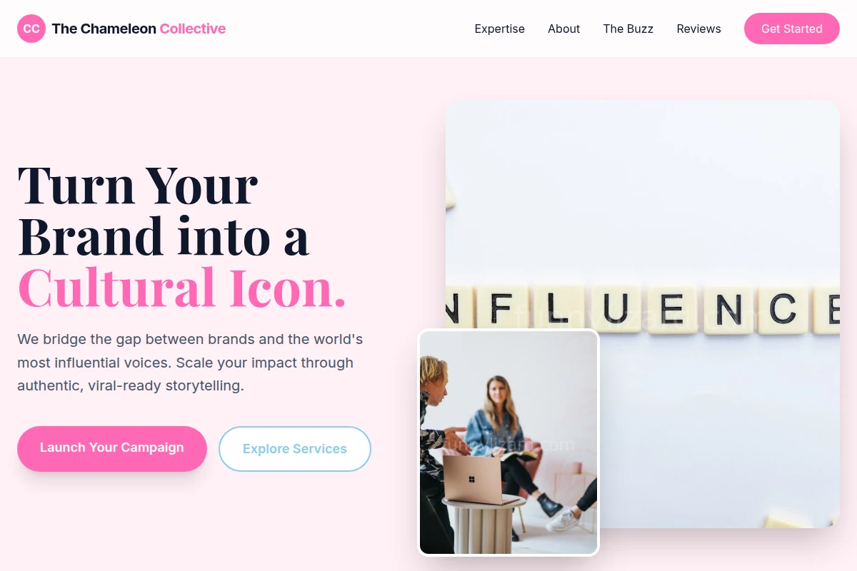 Zoom Influencer Marketing