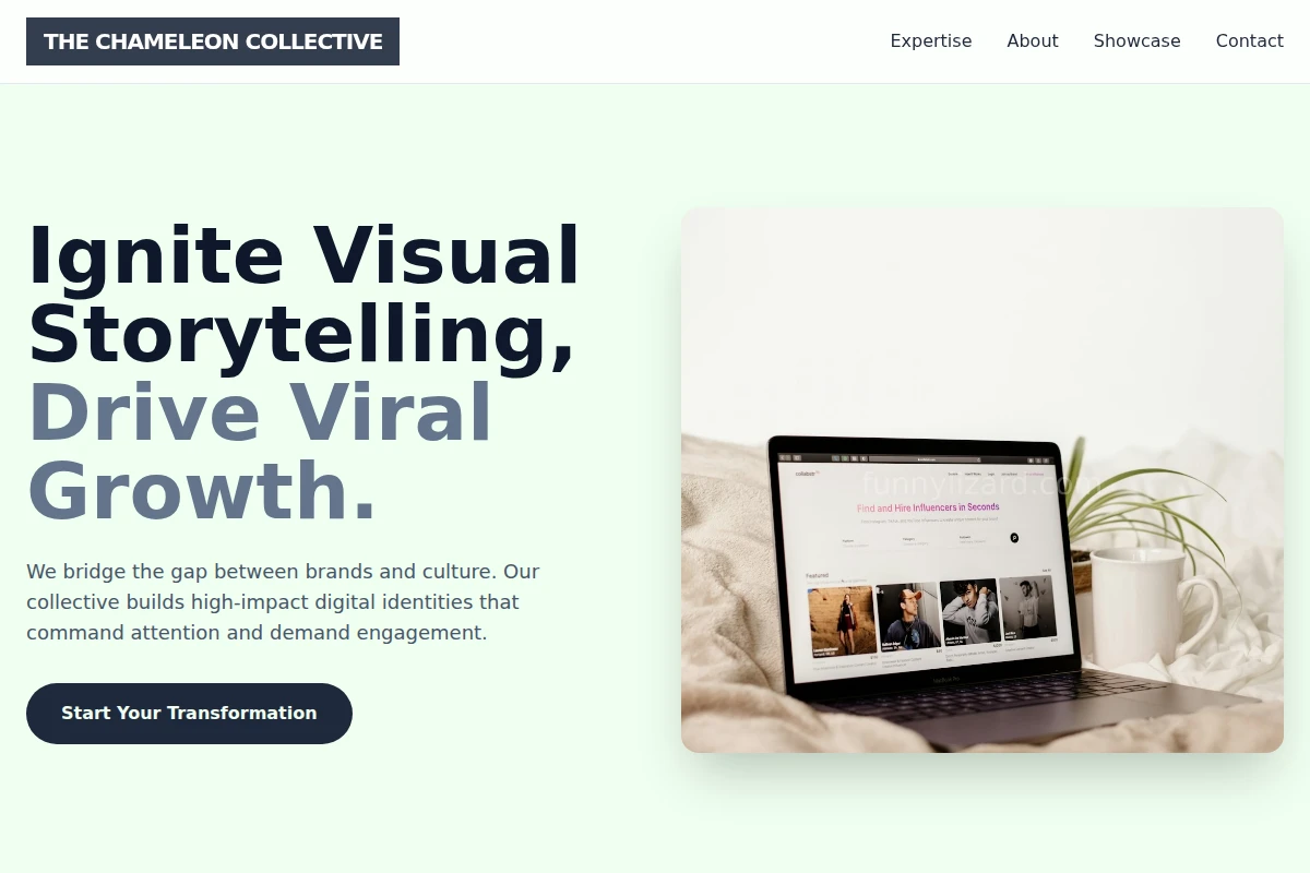 Visual Influencer Marketing