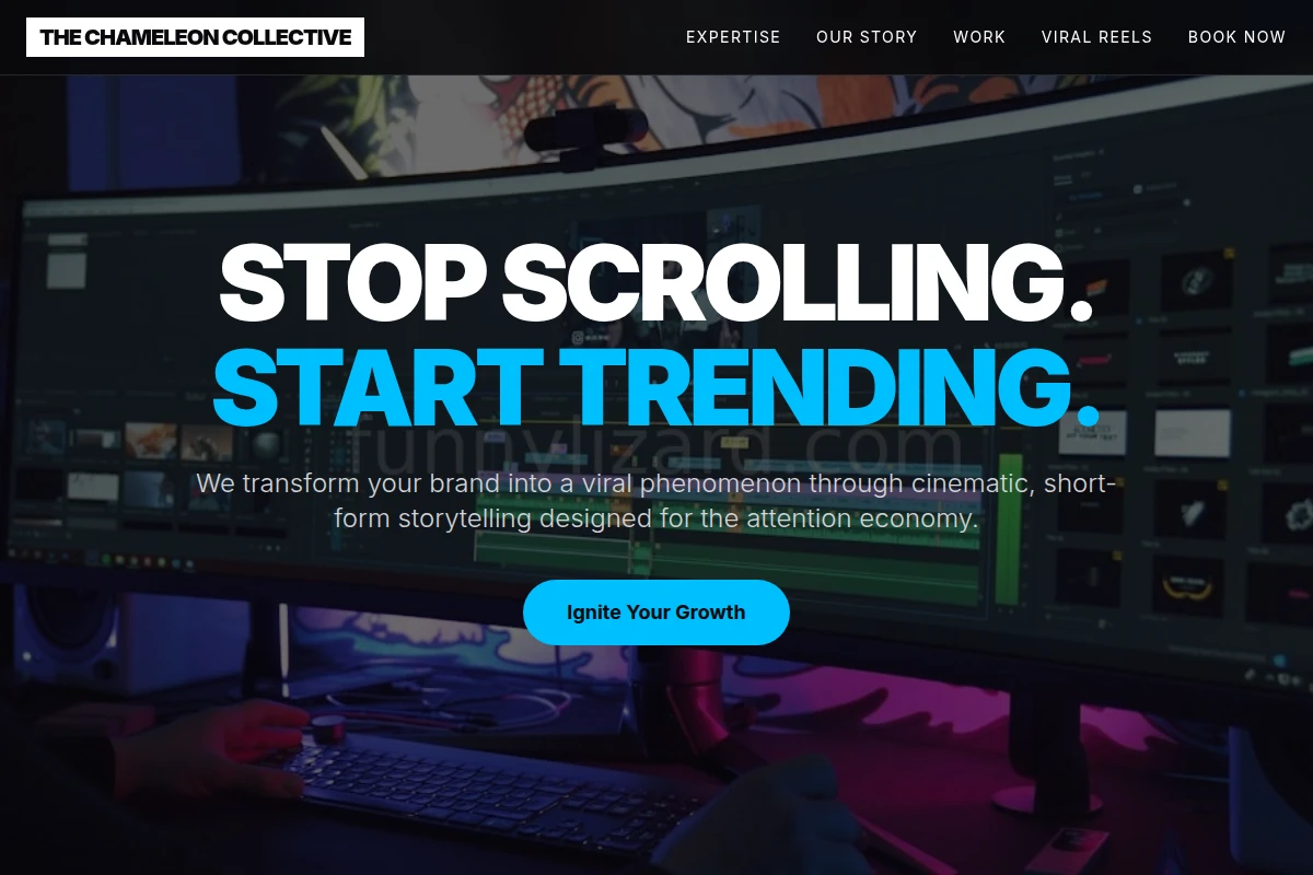 Visual Short Form Video Agency